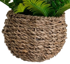 Haraszt műnövény (magasság 25 cm) – Casa Selección