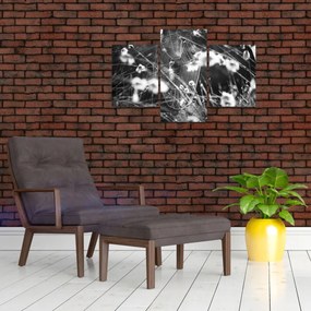 Kép - Pókháló a réten (90x60 cm)