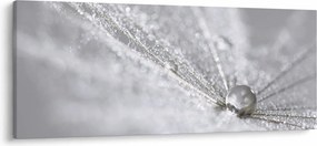 Kép - Egy csepp víz (120x50 cm)