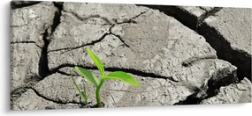 Kép - Repedések (120x50 cm)