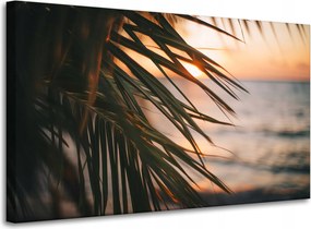 Vászonkép Természet Tengerpart Pálma Tenger Naplemente 100x60