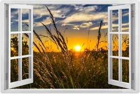 Poszterek 90x60 Naplemente a füvek között