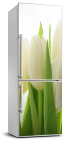 Matrica hűtőre Tulipán FridgeStick-70x190-f-28819889