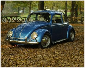 Poszterek 50x40 Bogár Vw autó]