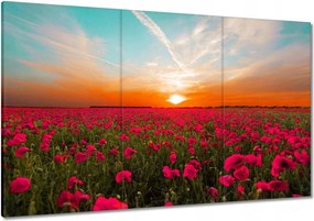 Vászonkép 120x80 Rózsaszín pipacsok Naplemente