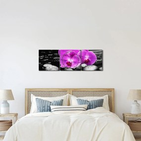 Kép - Lila orchideák (órával) (90x30 cm)