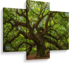 Kép - Zöld fa (90x60 cm)