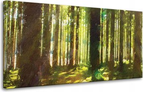 Vászonkép Olajerdő Fák Fény Természet 80x40 cm