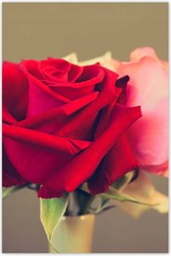 Poszterek 80x120 Nőnap Ajándék Love