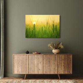 Kép - Mező gabonával (90x60 cm)