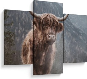Kép - Highlander tehén (90x60 cm)