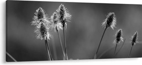 Kép - Bézs színű puha fű N⁰2 (120x50 cm)