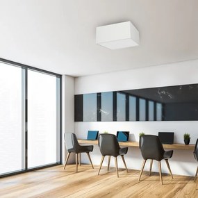 Mennyezeti lámpa ALBION 3xE27/60W/230V