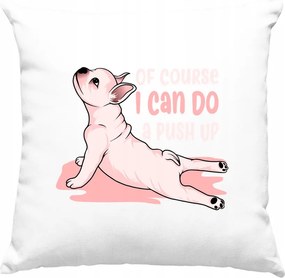 Kutya párna Vicces Mém 3 Fehér