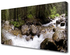 Canvas kép Forest River vízesés 100x50 cm