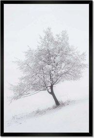 Poszterek keretben 40x60 Fa Kilátás