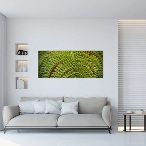 Kép - Fern (120x50 cm)