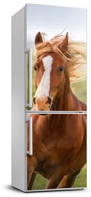 Hűtő matrica A vágtató ló FridgeStick-70x190-f-111439181