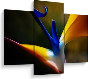 Kép - Egzotikus virág (90x60 cm)