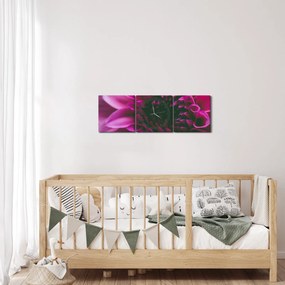 Rózsaszín virág képe (órával) (90x30 cm)