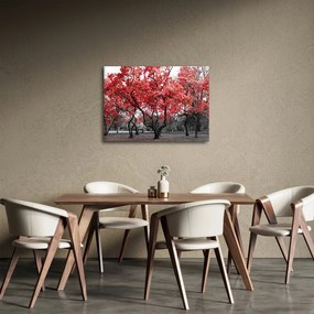 Kép - vörös fák, Central Park, New York (70x50 cm)