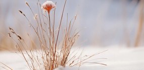 Poszter 91,3x44,5cm Tél a részletekben