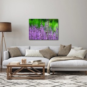 Lila mezei virágok képe (70x50 cm)