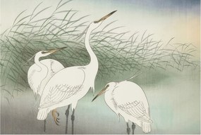 Fotótapéta Flizelin Fali ragasztó szett Fűben 104x70 Ragasztó