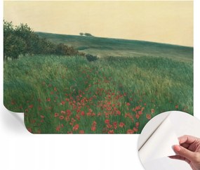 Dekoratív öntapadós fotótapéta Hálószobába Pipacs mezők 312x219 cm