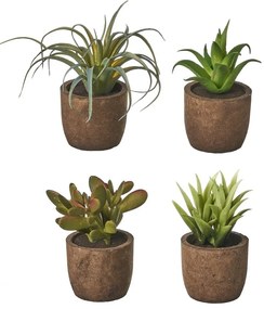 Művirág szett 4 db-os Cactus – Casa Selección