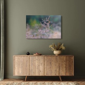 Kép - Fű részlet (90x60 cm)