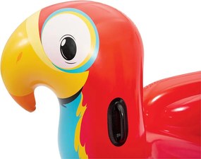 Papagáj rider 203 x 132 cm