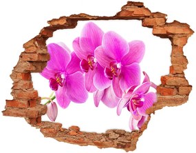 Fali matrica lyuk a falban Rózsaszín orchidea nd-c-67673367
