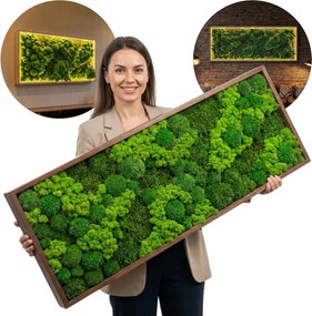 Élő moha kép tölgy Természetes keretben LED-del Moha fali dekoráció