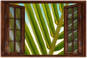 Poszterek 90x60 Pálmalevél Levél