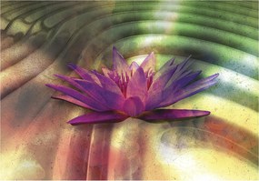 Flizelin fotótapéta Lila liliom a vízen fényvisszaverő 312x219 +ragasztó