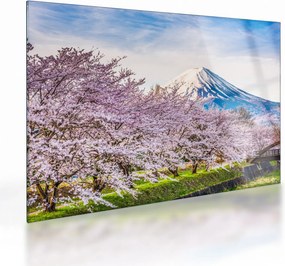 Üveg kép - Japán tavasszal (70x50 cm)