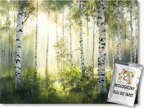 Fotótapéta Flizelina Tájkép Erdő Park Ligetező Fa Nyírfa 416x290 ragasztó