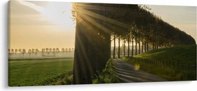 Fasor képe (120x50 cm)