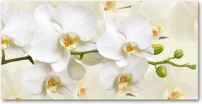 Fotó vászonkép edzett üveg Orchidea 140x70