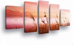Vászonkép 170x100 Naplemente rét fű természet nyugalom meleg nyár
