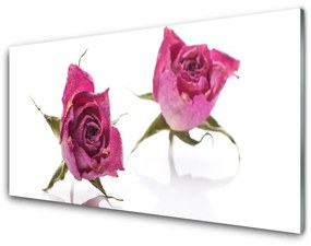 Akrilkép Rózsa virágok Plant 120x60 cm