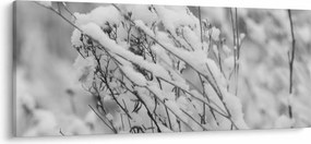 Kép - Havas ágak (120x50 cm)