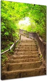 Vászonkép 80x120 Lépcsők az erdőbe