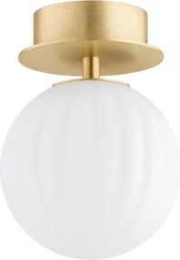 Argon PALOMA 8504 Plafonlámpa 1x7W/E14 IP20
