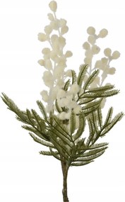 Mimóza műág fehér dekoratív nád Virág 38cm