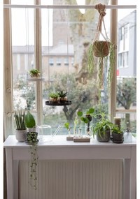 Clear üveg locsolókanna virágokhoz, 1,5 l - Esschert Design