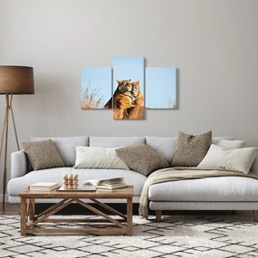 Kép - Tigris és a kölyke (90x60 cm)