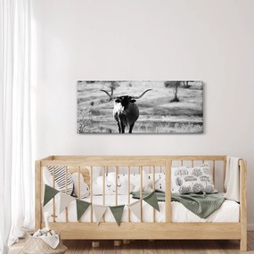Kép - Tehén, fekete-fehér (120x50 cm)