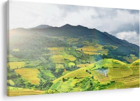 Ültetvények képe (90x60 cm)